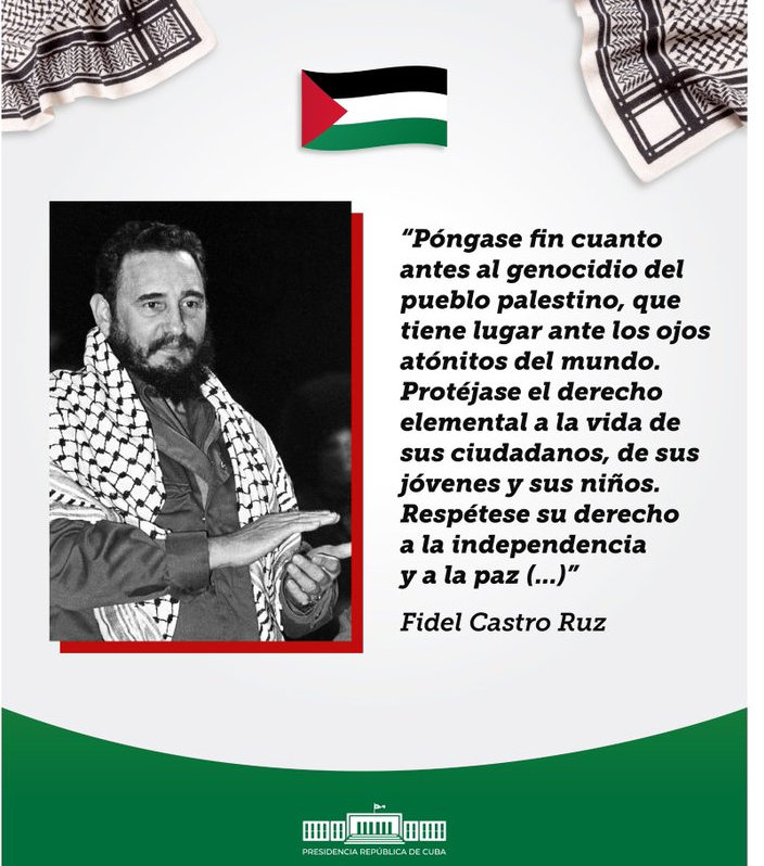 Genocidio En Gaza La Humanidad No Puede Mirar Hacia Otro Lado