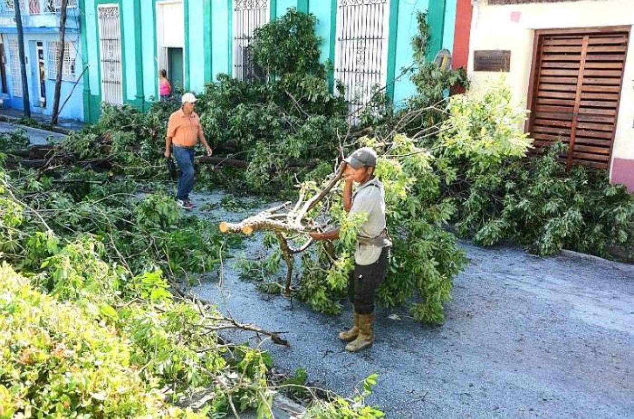 Los daños en las líneas de distribución son grandes debido a la caída de árboles. Foto: Armando Yero