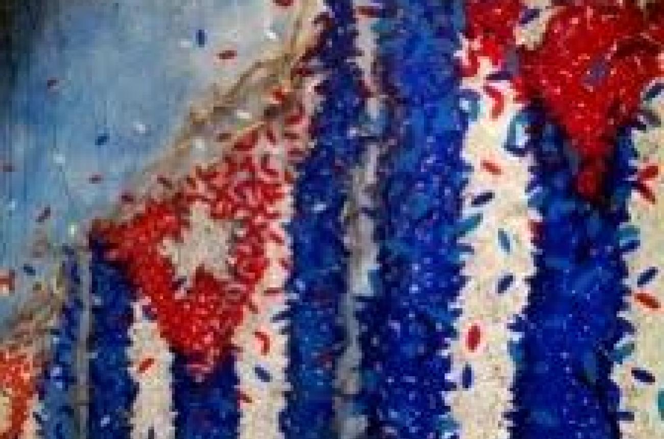 Foto: Obra de la serie Banderas, de Michel Mirabal