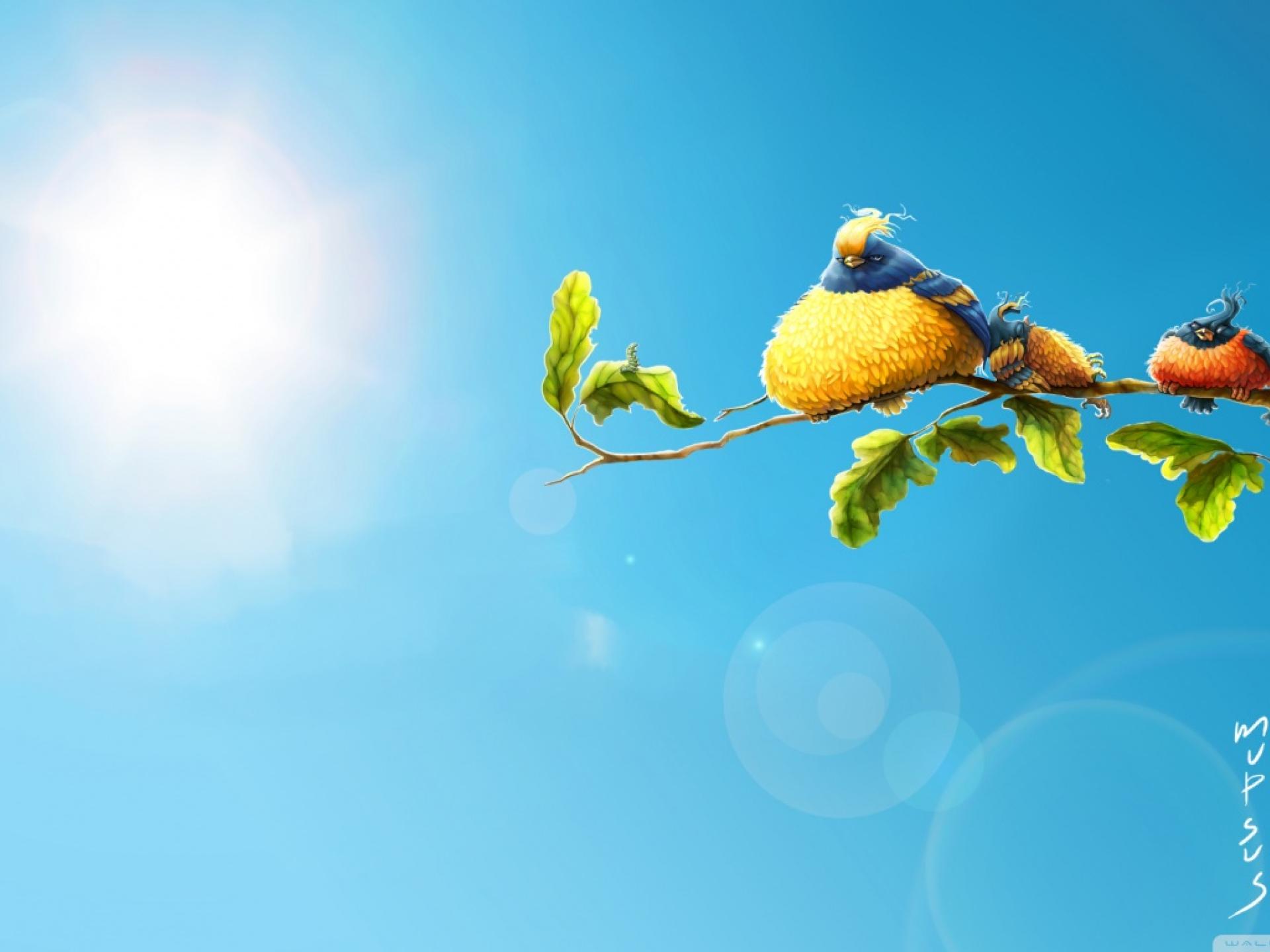 funny birds