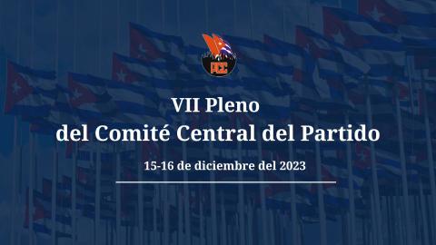 Vll Pleno Vll Pleno
