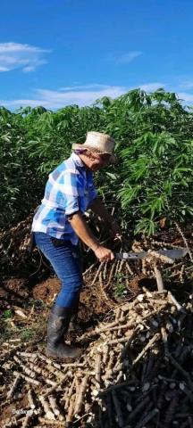 Militantes santiagueros se vuelcan a la producción de alimentos Militantes santiagueros se vuelcan a la producción de alimentos