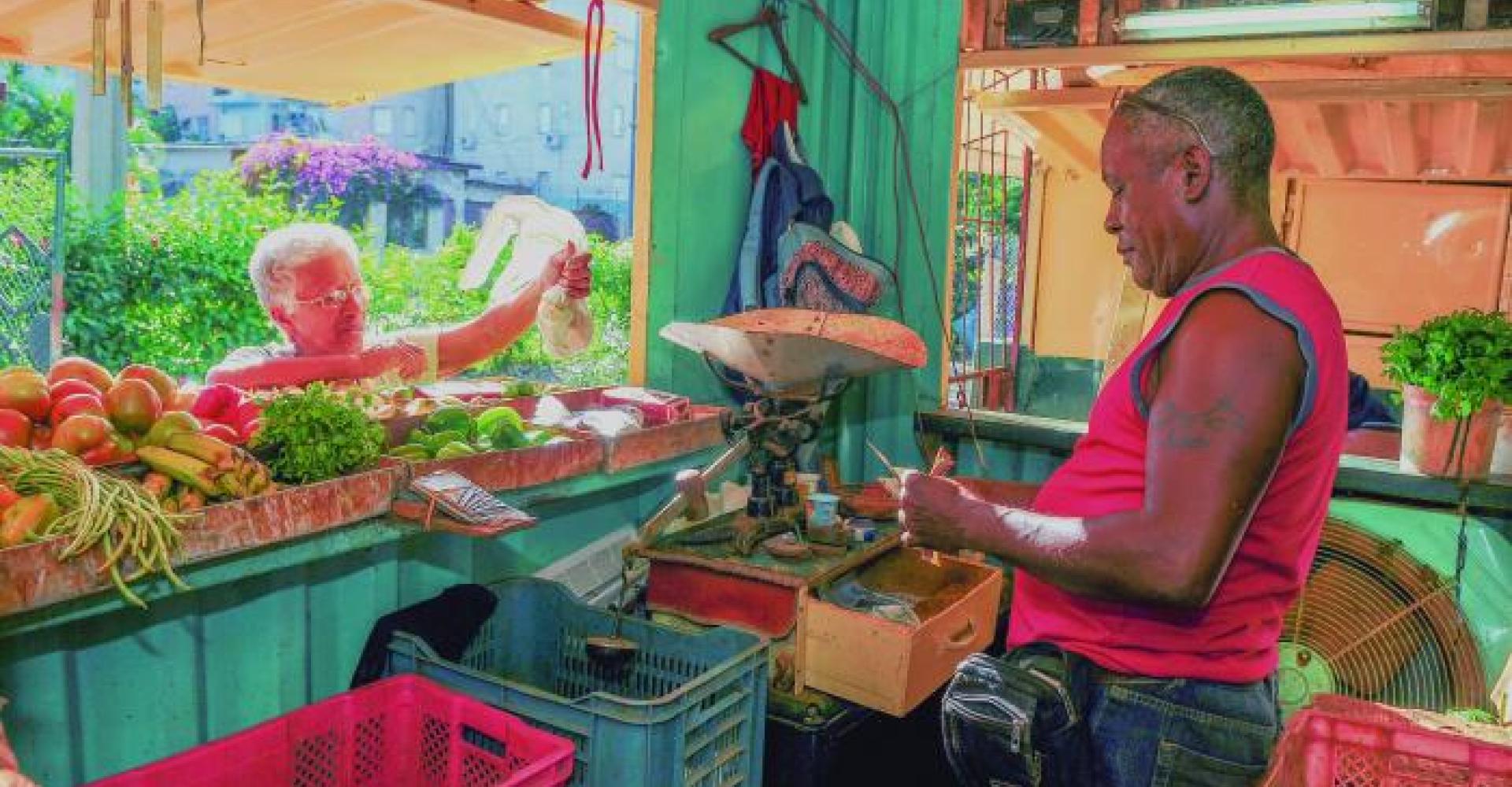 El Programa concibe la actualización de los mecanismos de contratación y acopio de los productos agropecuarios. Foto: José Manuel Correa