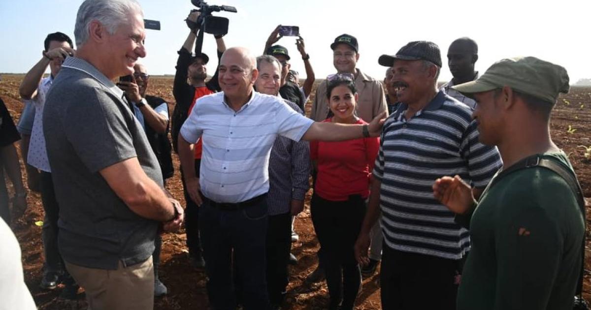 Foto: Presidencia