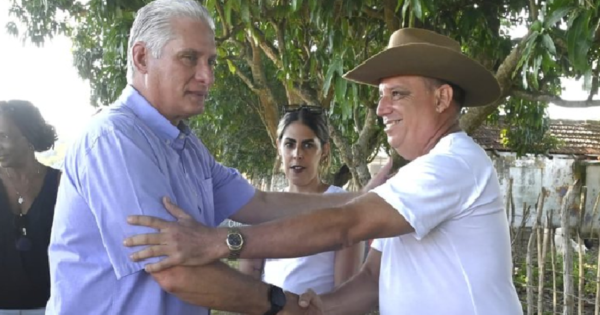 Foto: Presidencia