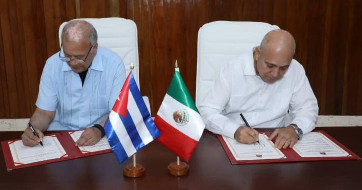 Fotos: Vladimir Molina