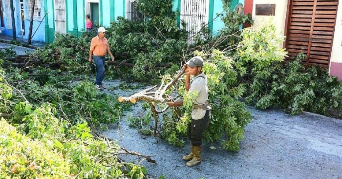 Los daños en las líneas de distribución son grandes debido a la caída de árboles. Foto: Armando Yero