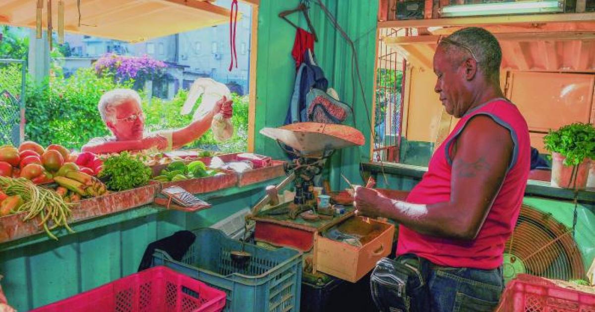 El Programa concibe la actualización de los mecanismos de contratación y acopio de los productos agropecuarios. Foto: José Manuel Correa