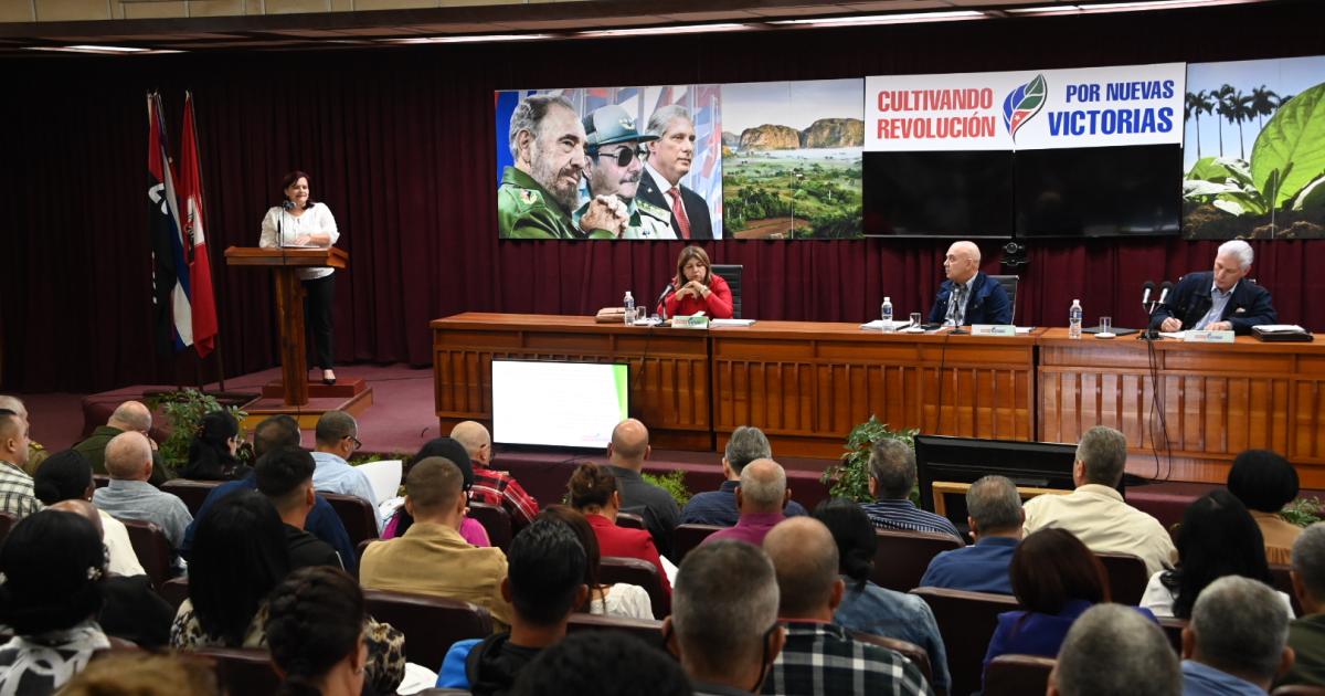 Foto: Estudios Revolución