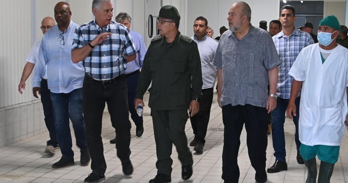 Foto: Presidencia